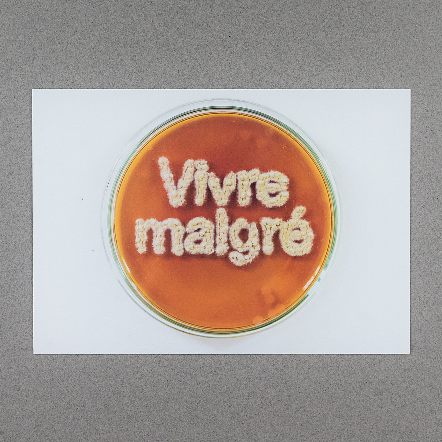(Postal Card) Vivre Malgré