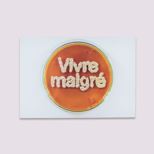 (Postal Card) Vivre Malgré