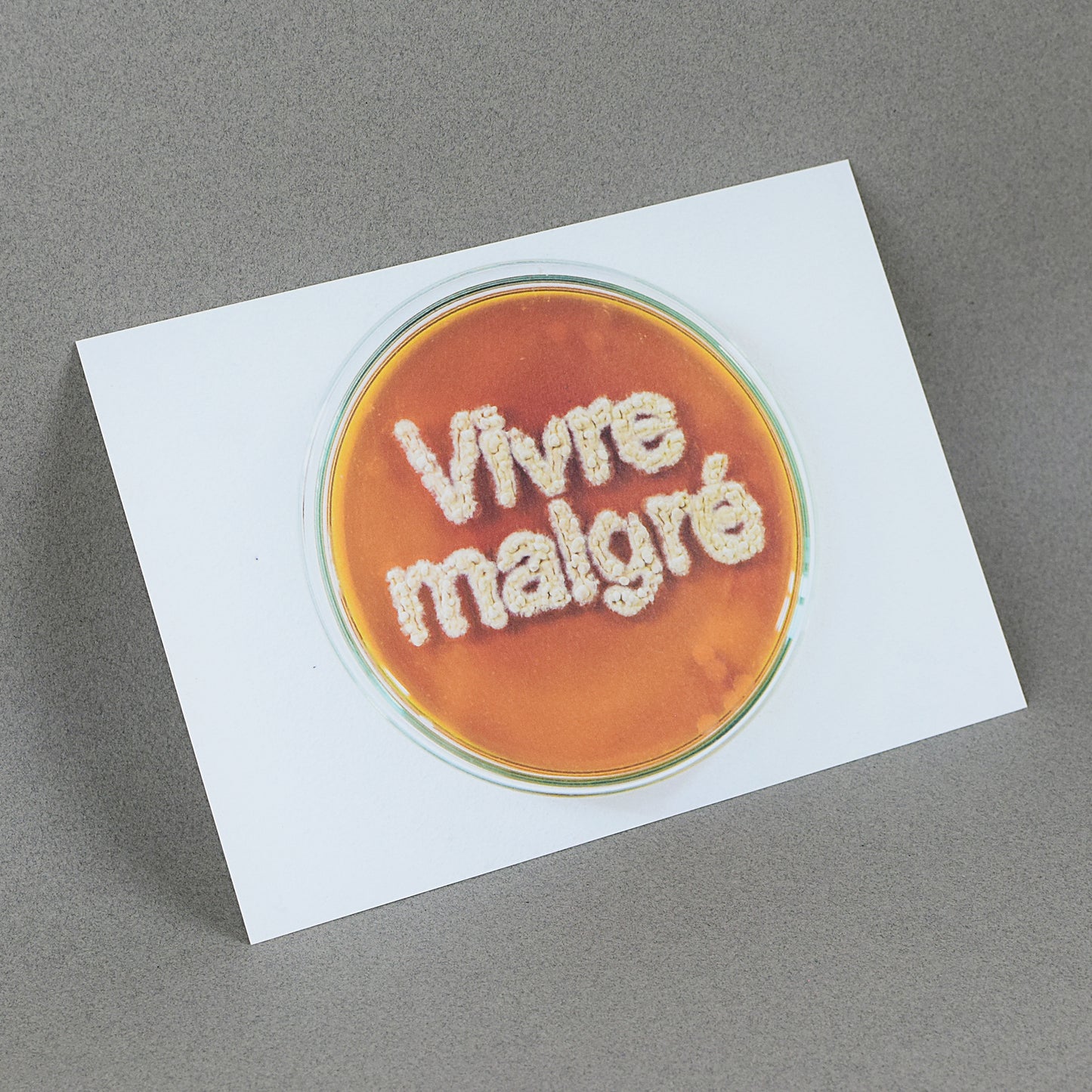 (Postal Card) Vivre Malgré