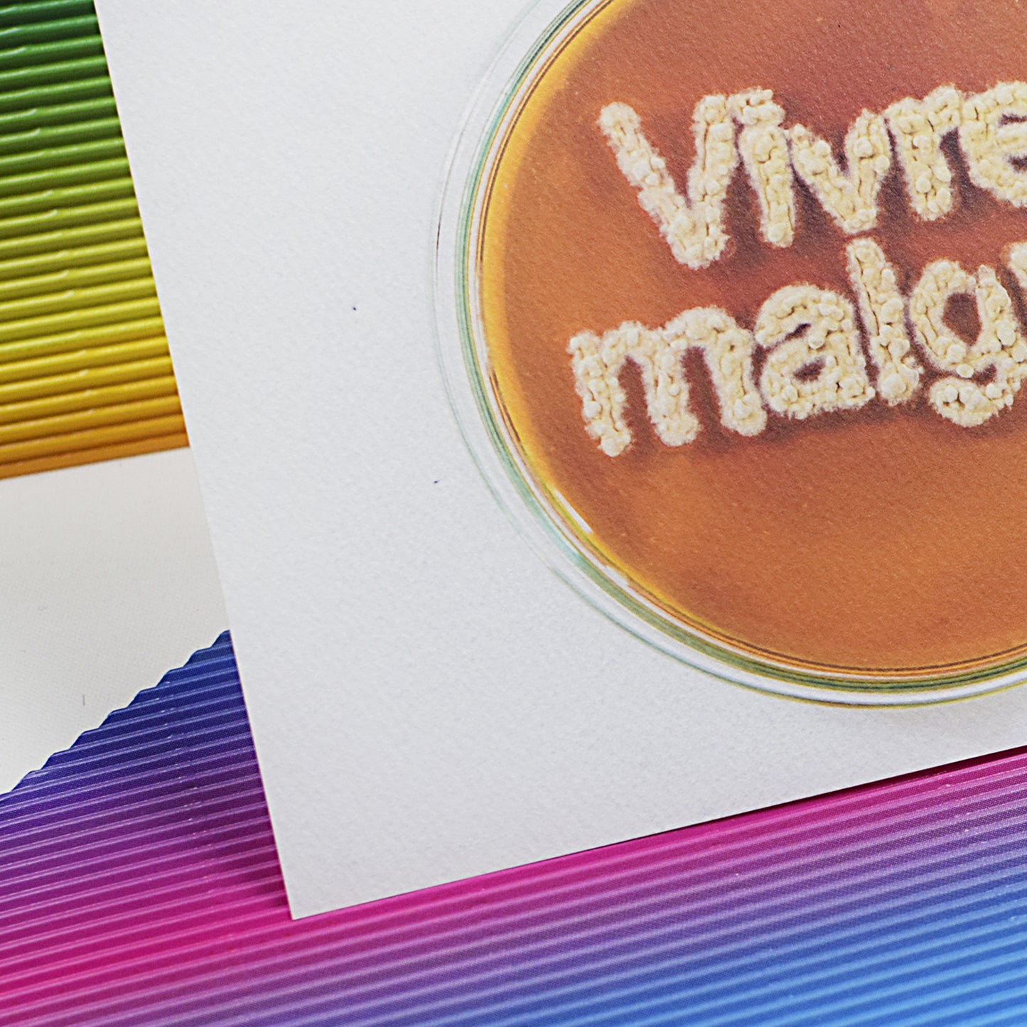 (Postal Card) Vivre Malgré