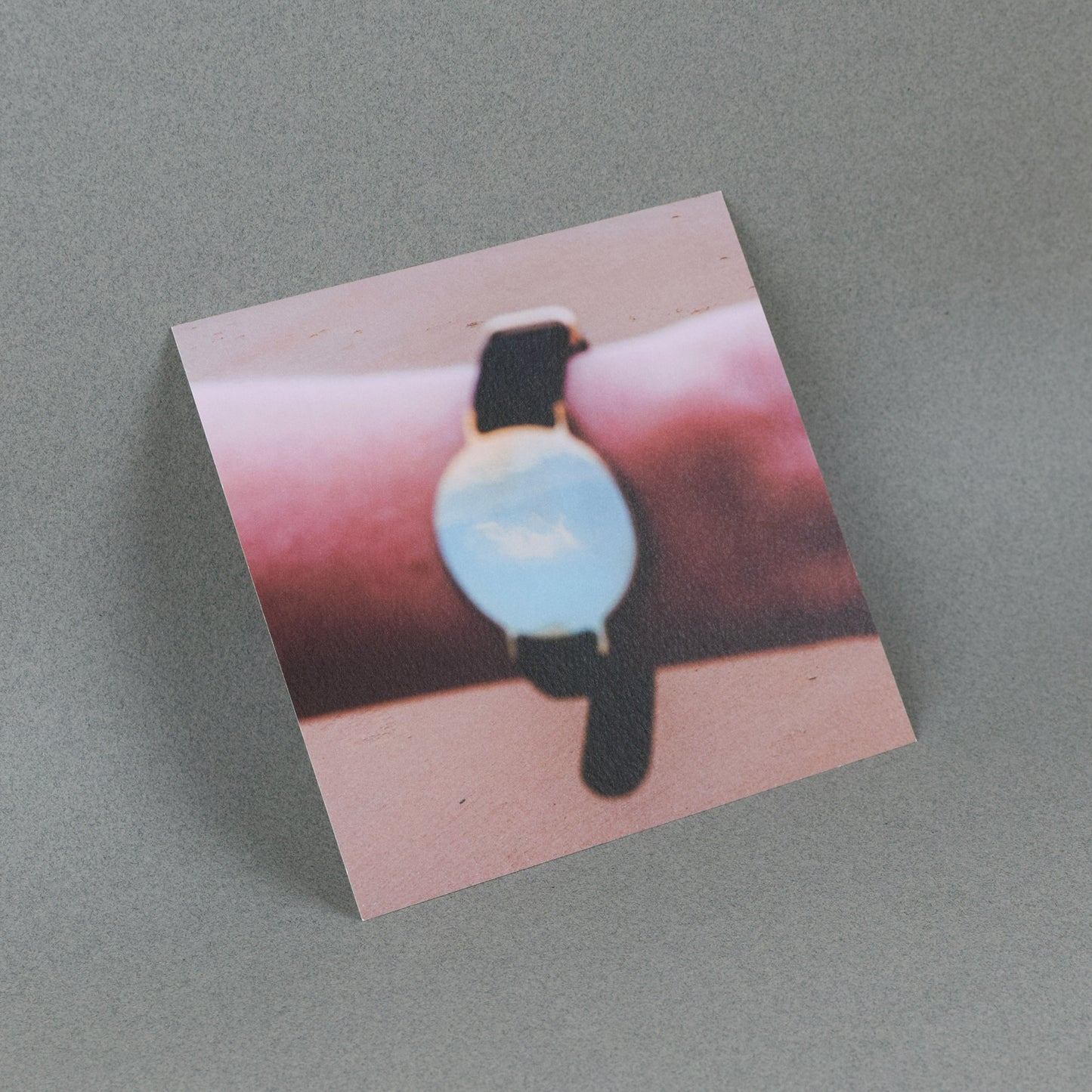 (Postal Card) Image made for De Langste Dag, 2024