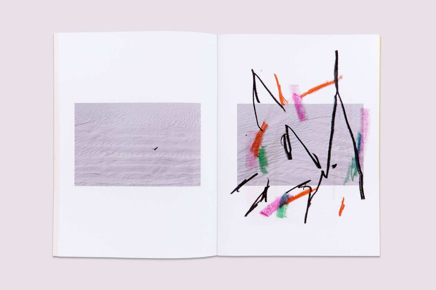 Ambient Park/Félicia Atkinson published by Perimeter Editions