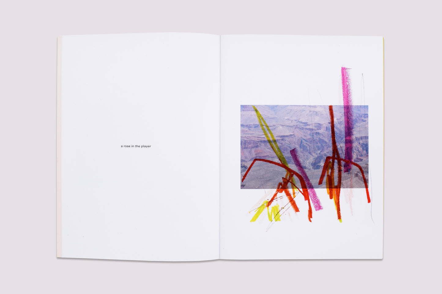 Ambient Park/Félicia Atkinson published by Perimeter Editions