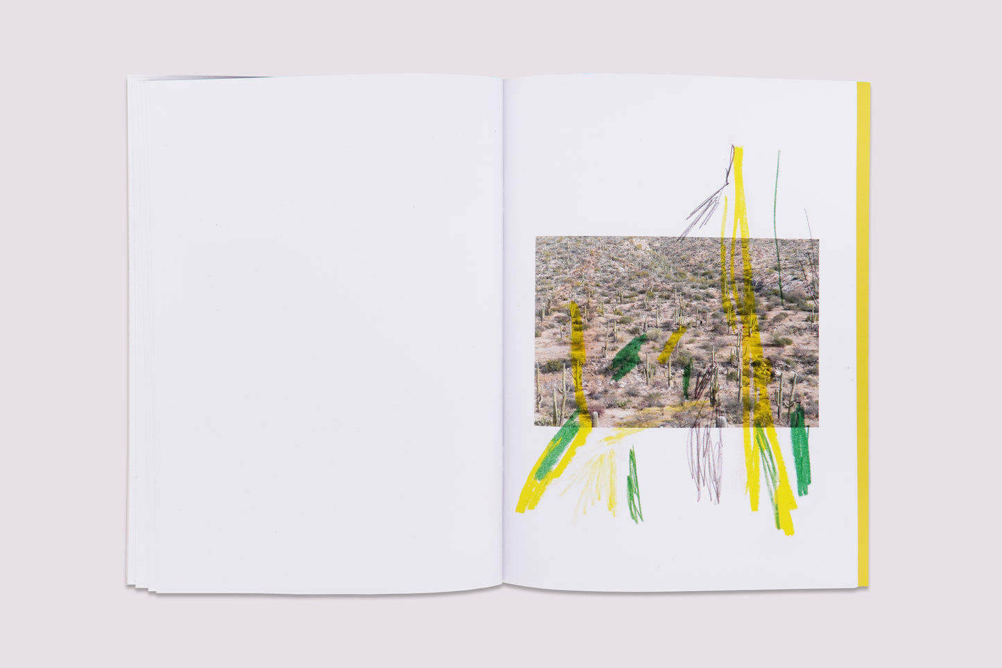 Ambient Park/Félicia Atkinson published by Perimeter Editions