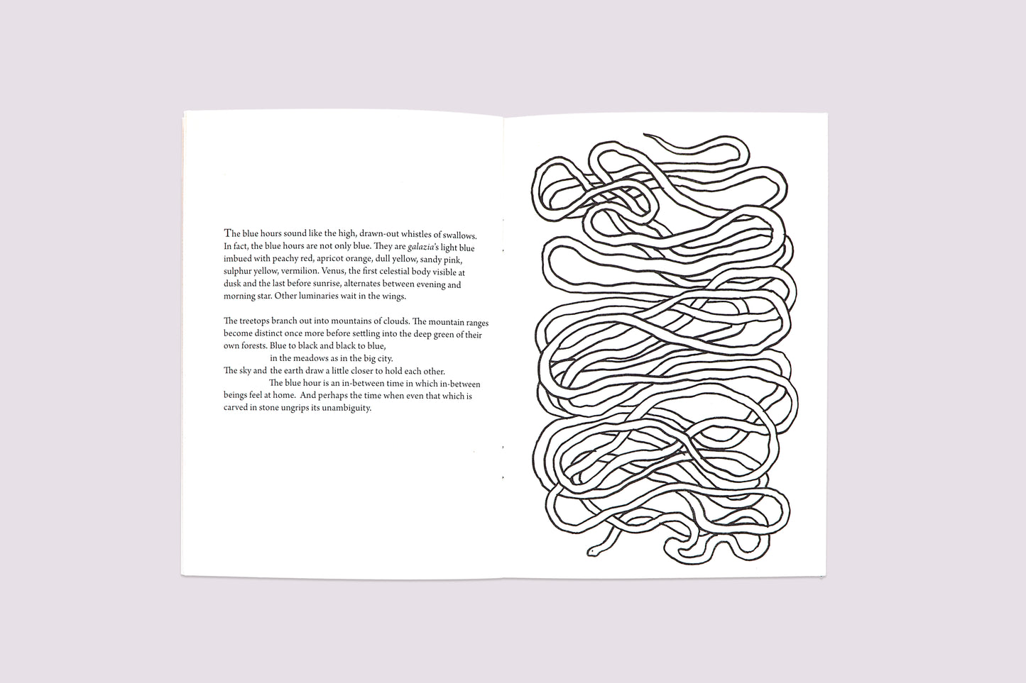 Cracked Shells/Dimitra Charamandas by Bored Wolves