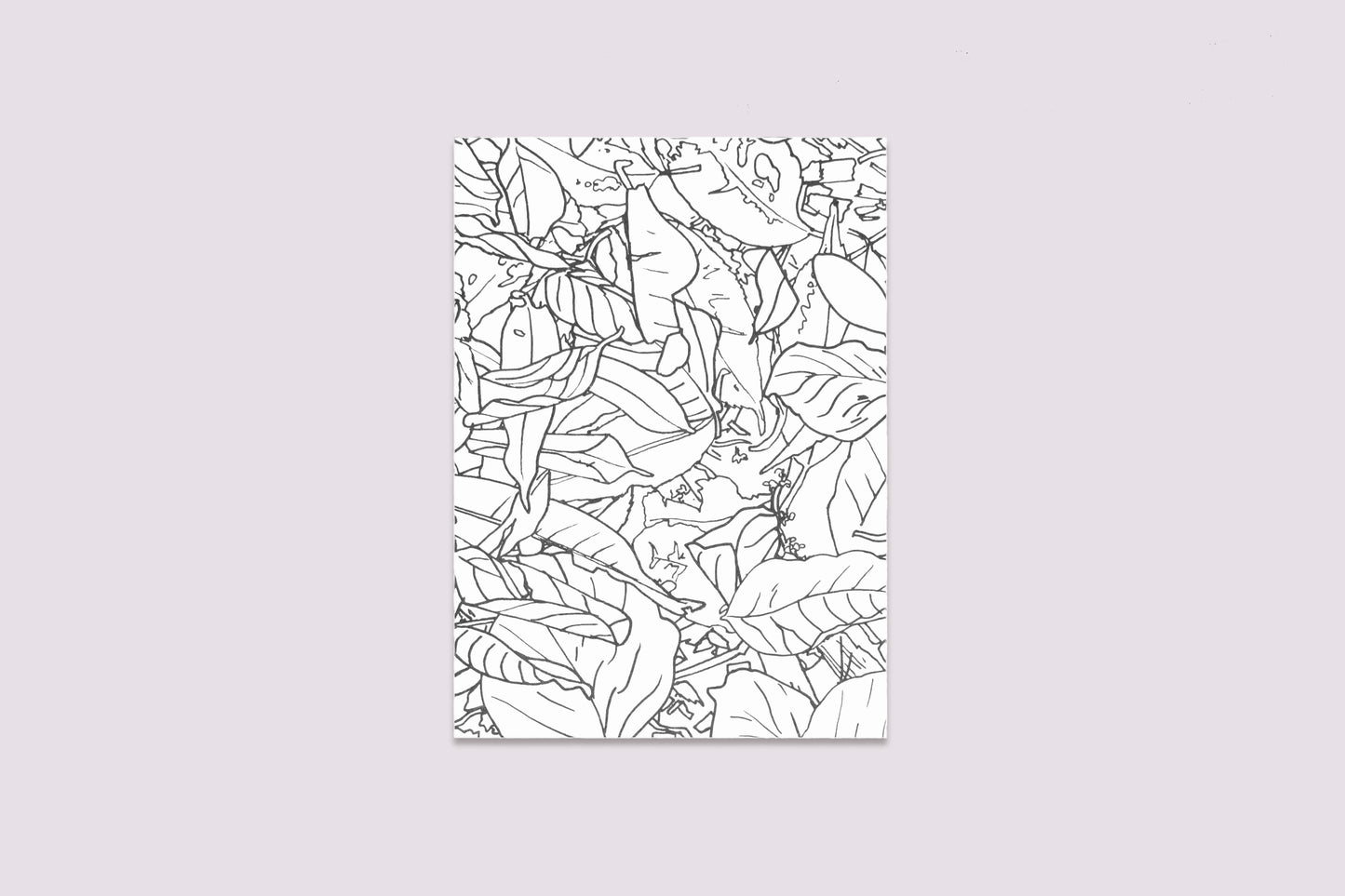 (Restocked) Travel Trilogy Box Set