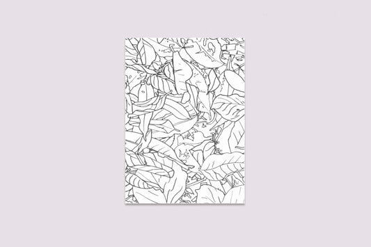 (Restocked) Travel Trilogy Box Set