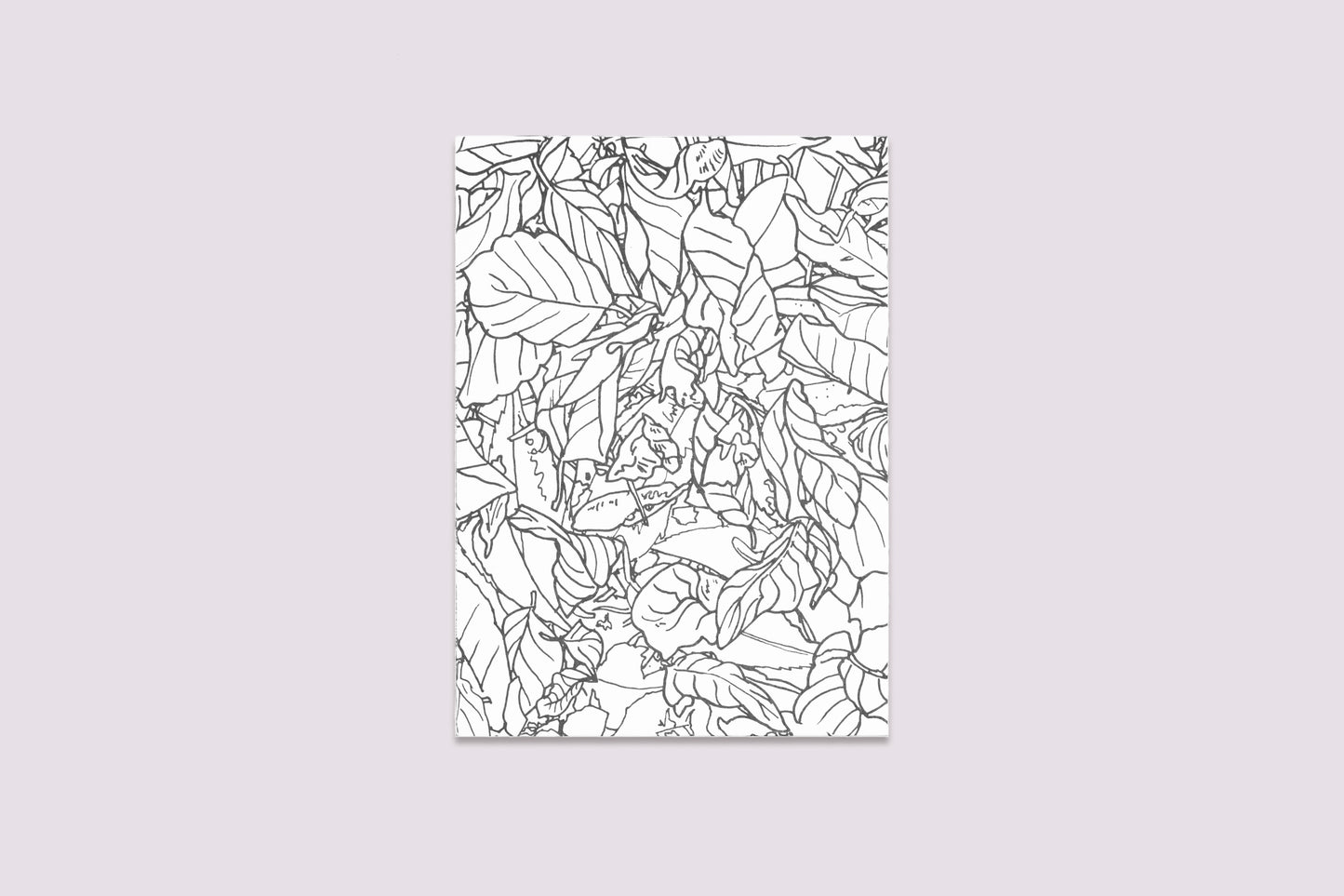 (Restocked) Travel Trilogy Box Set