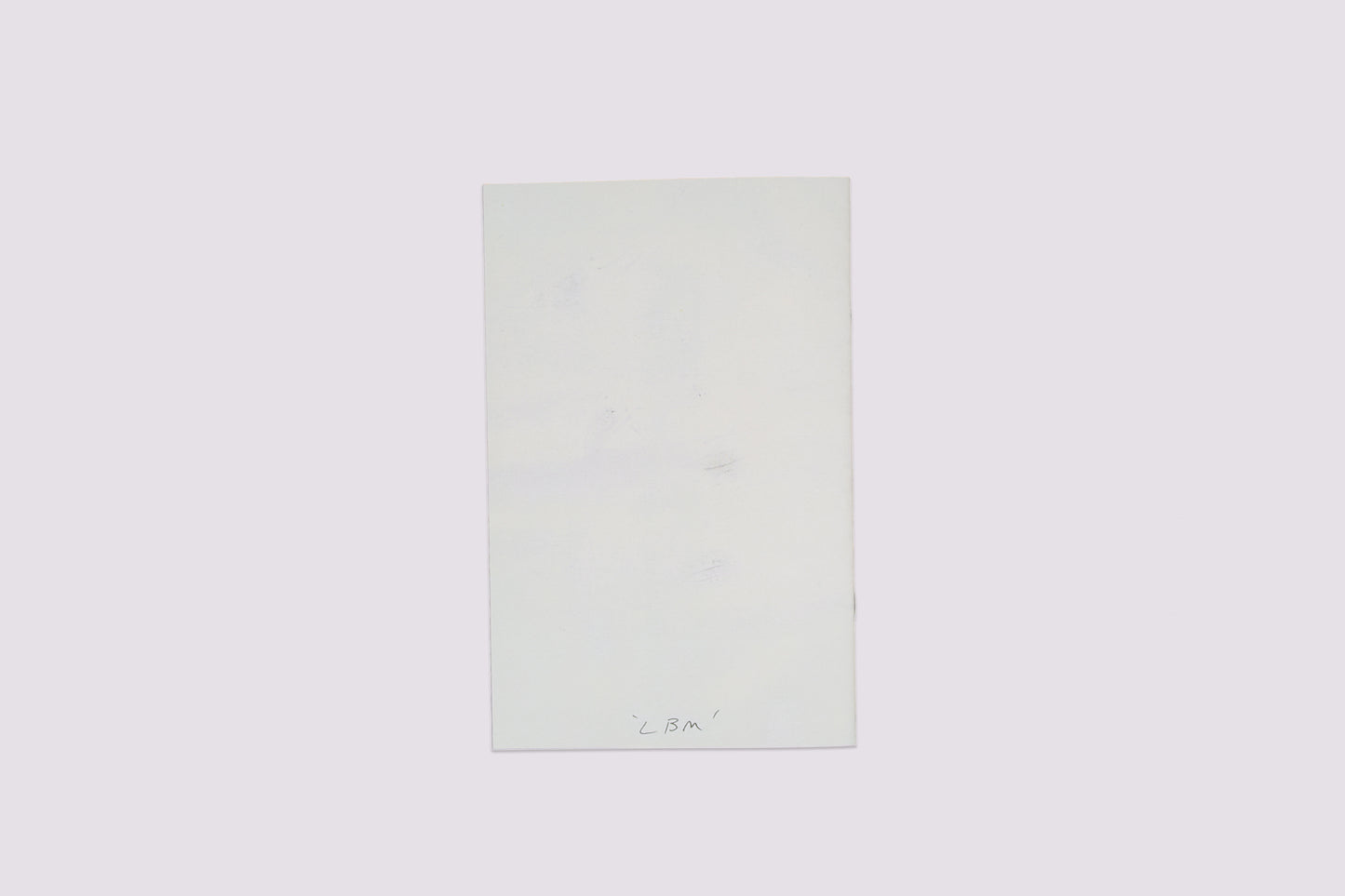 Lost Boy Mountain/Lester B.Morrison published by Little Brown Mushroom
