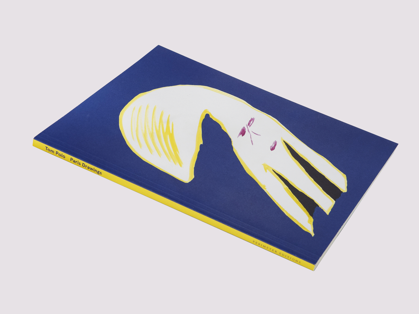 Paris Drawings/Tom Polo by Perimeter Editions