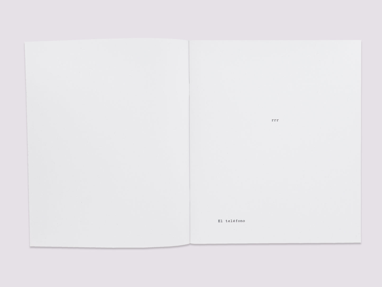 RRR/Ulises Carrión published by Boa Books
