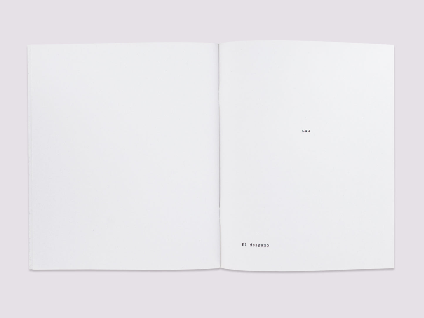 RRR/Ulises Carrión published by Boa Books
