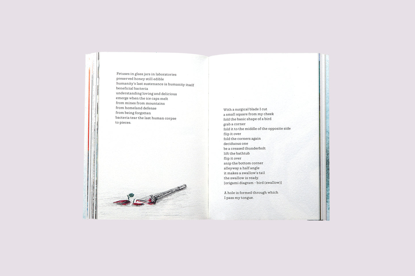 Slippage/Selcan Peksan/Maja Daneková published by Bored Wolves