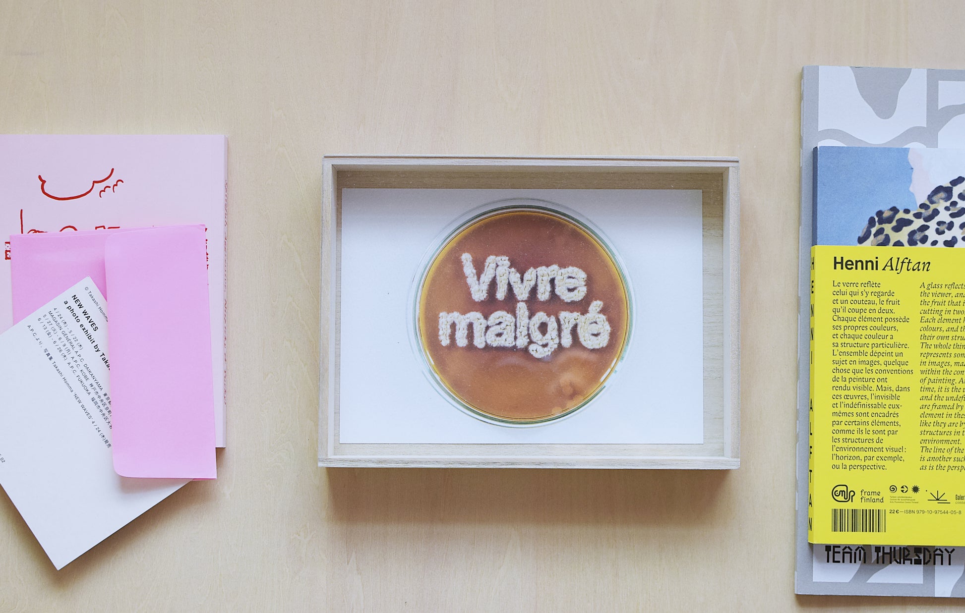 Vivre Malgré/Alec Vivier-Reynaud published by Vermikko Books