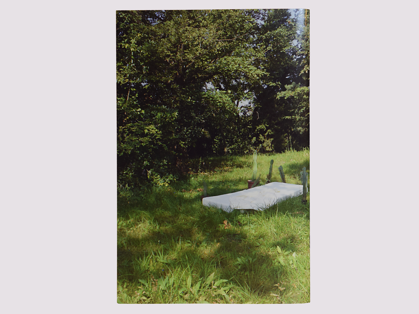 Trouble Rainbow/Claudia Comte/Athene Galiciadis/Mélodie Mousset published by Nero
