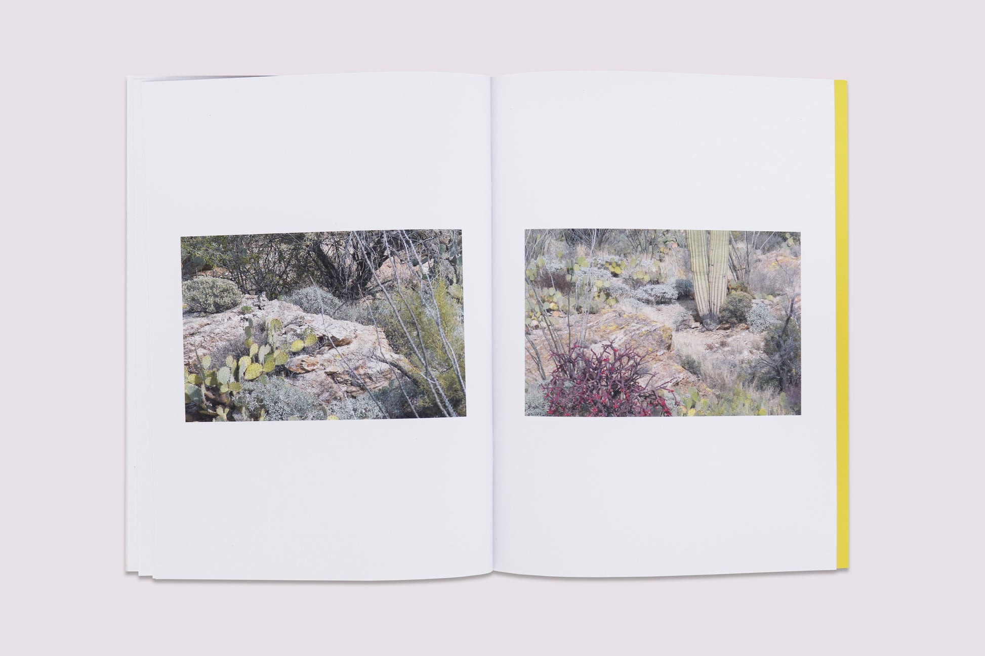 Ambient Park/Félicia Atkinson published by Perimeter Editions