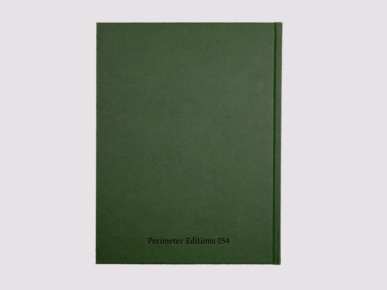 End Street/Noel McKenna published by Perimeter Editions