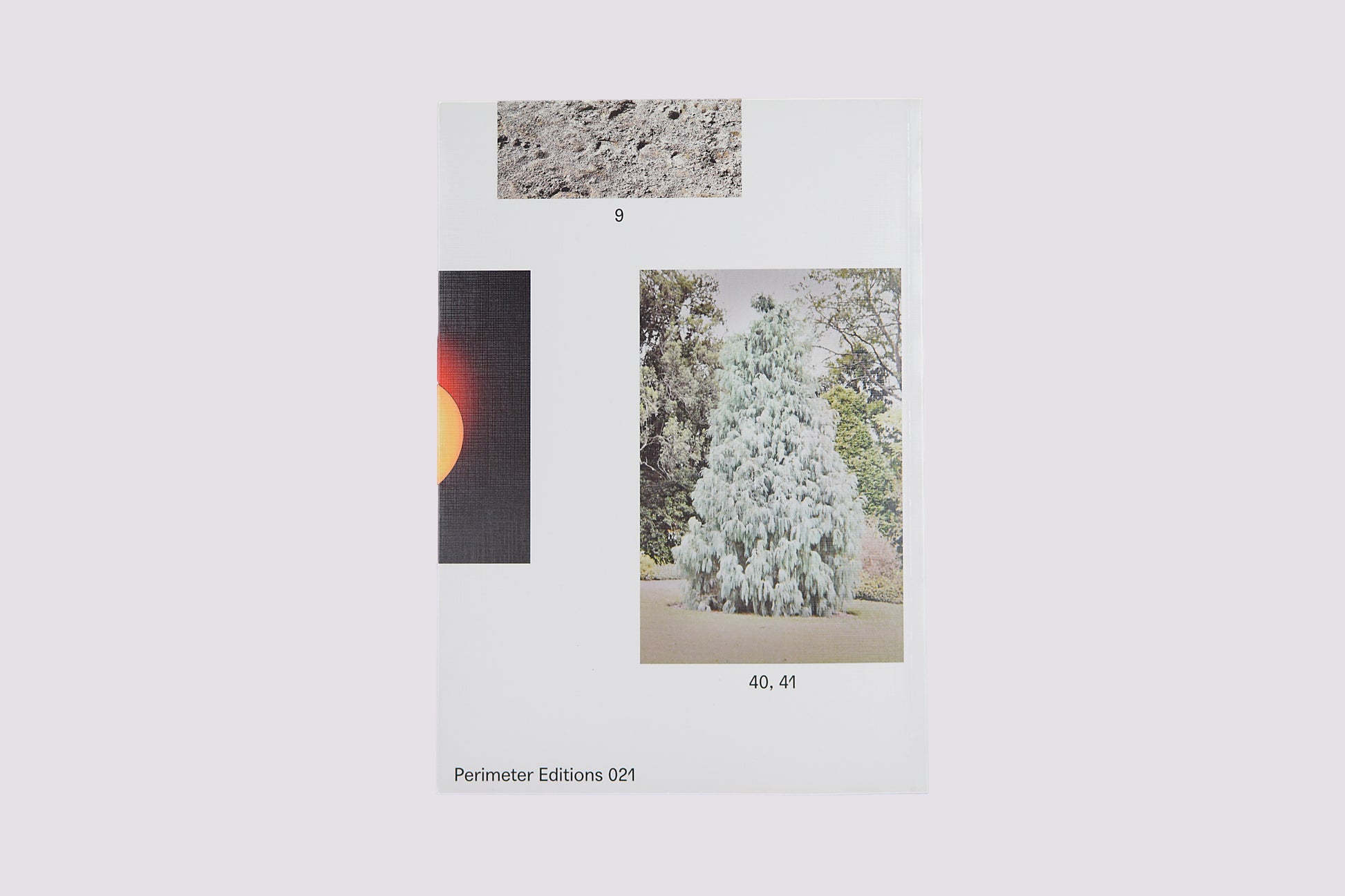 Family Photos/Eliza Hutchison by Perimeter Editions