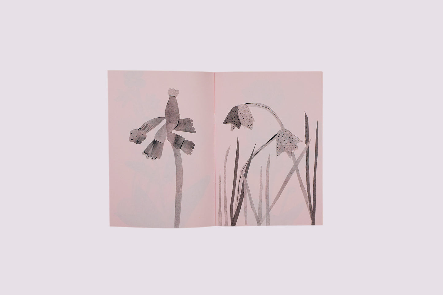 Flowers & All We Do/Johanna Tagada Hoffbeck published by Nieves