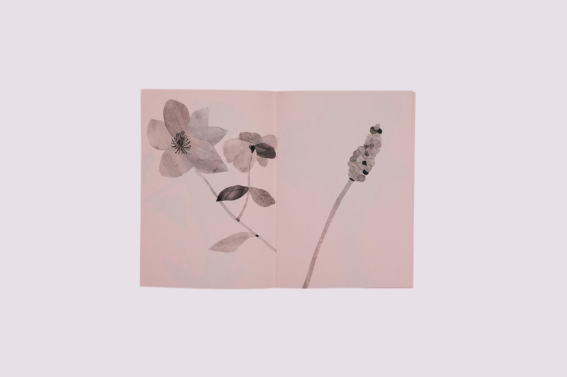 Flowers & All We Do/Johanna Tagada Hoffbeck published by Nieves