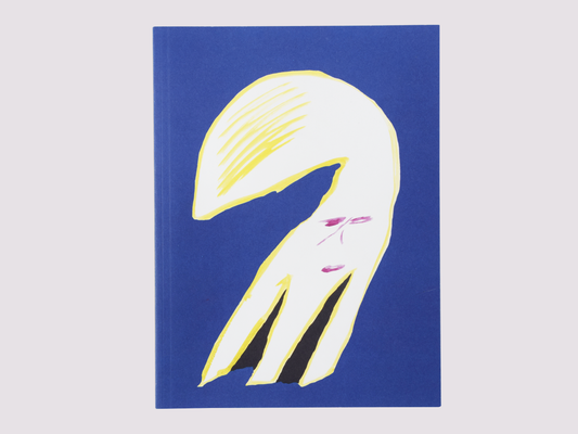 Paris Drawings/Tom Polo by Perimeter Editions