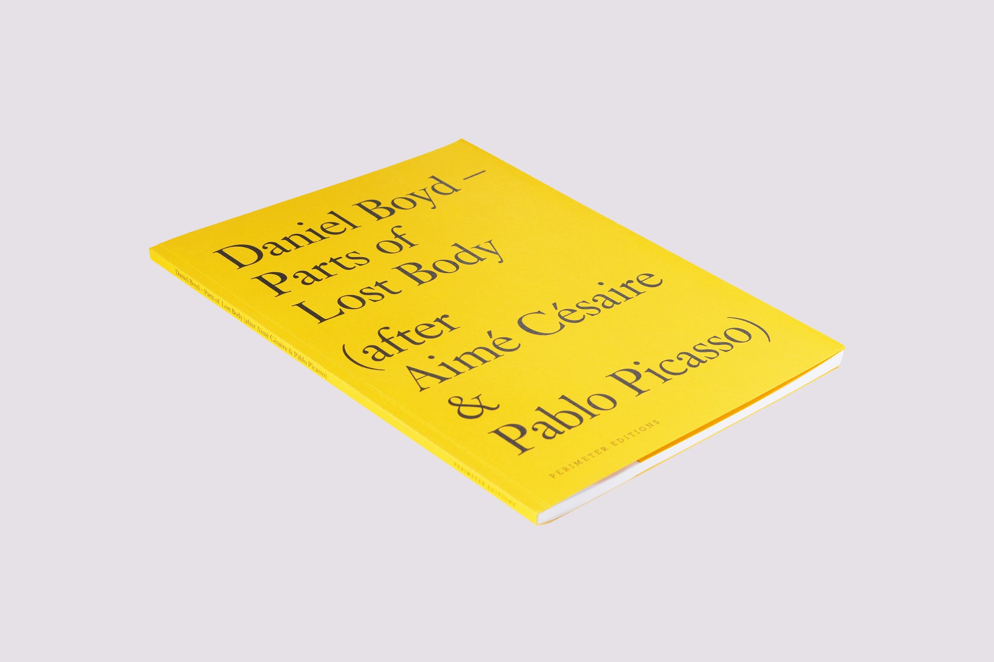 Parts of Lost Body/Daniel Boyd published by Perimeter Editions