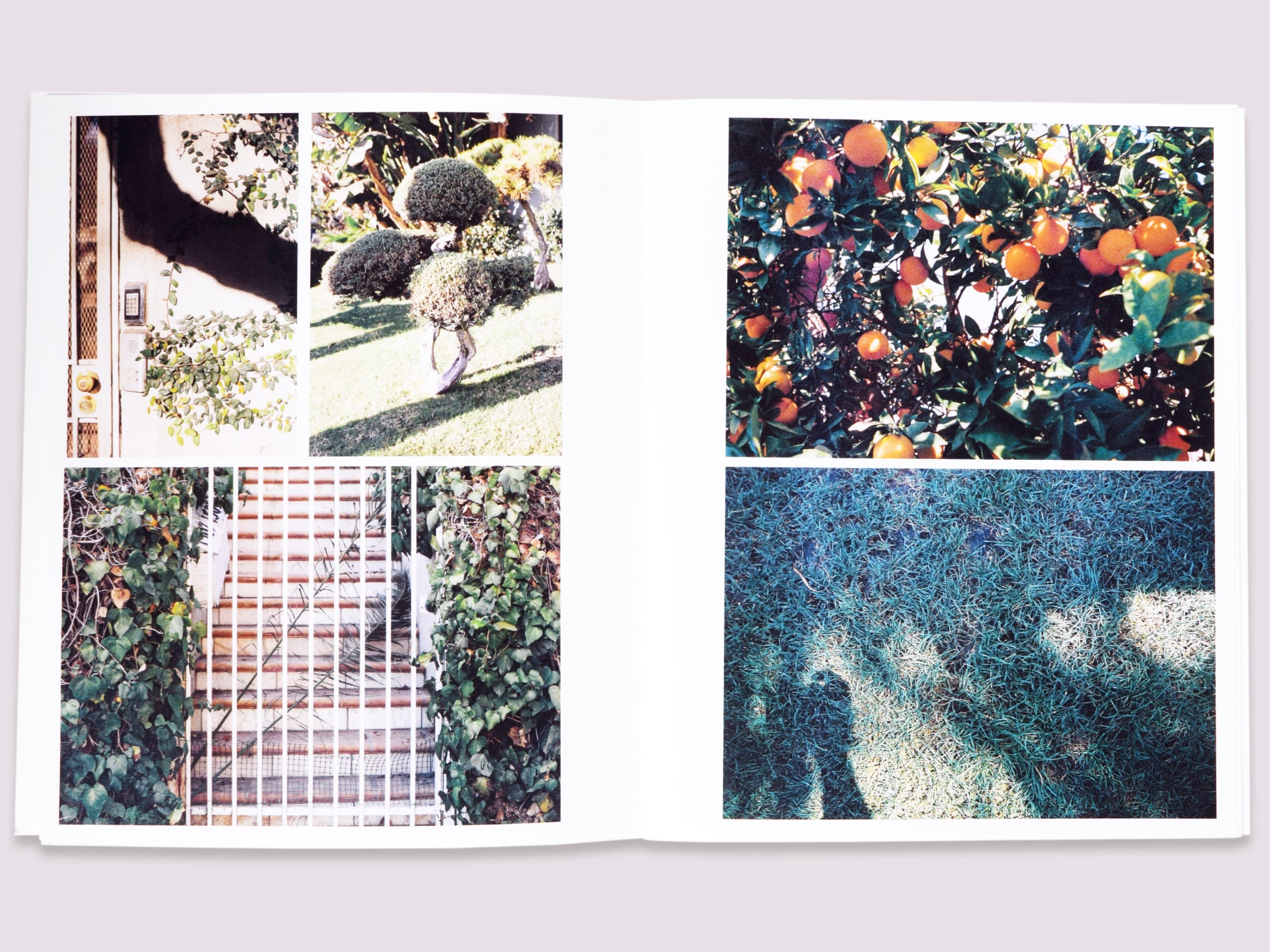 Plantlife LA/Amanda Marsalis/Denise Schatz published by Miniature Garden