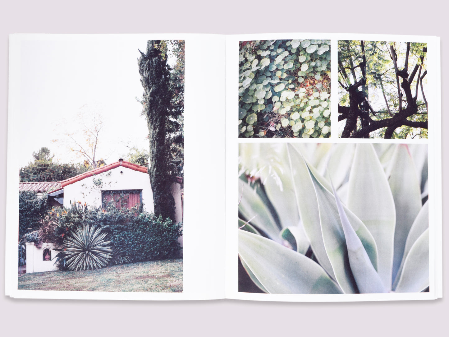 Plantlife LA/Amanda Marsalis/Denise Schatz published by Miniature Garden