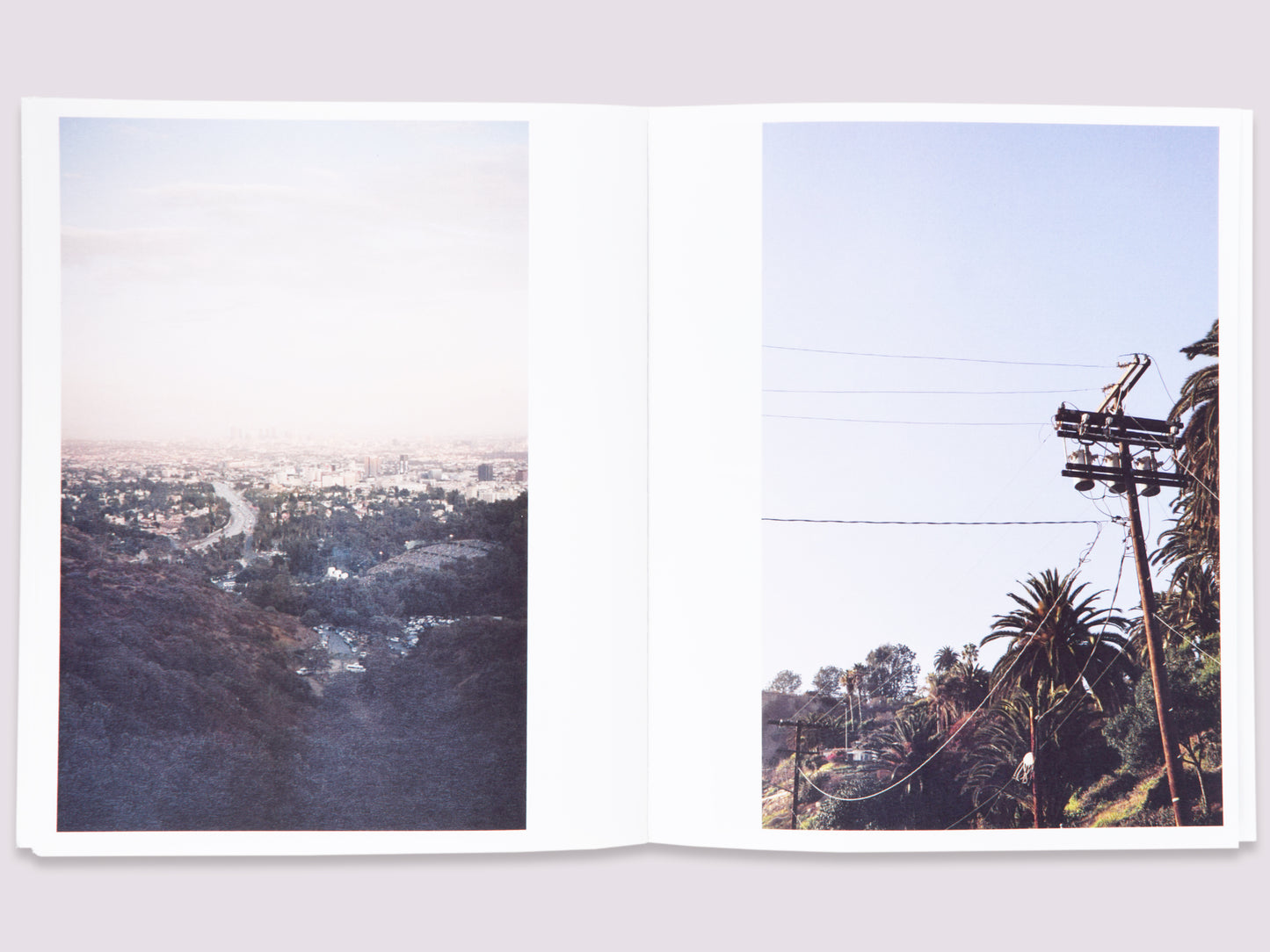 Plantlife LA/Amanda Marsalis/Denise Schatz published by Miniature Garden