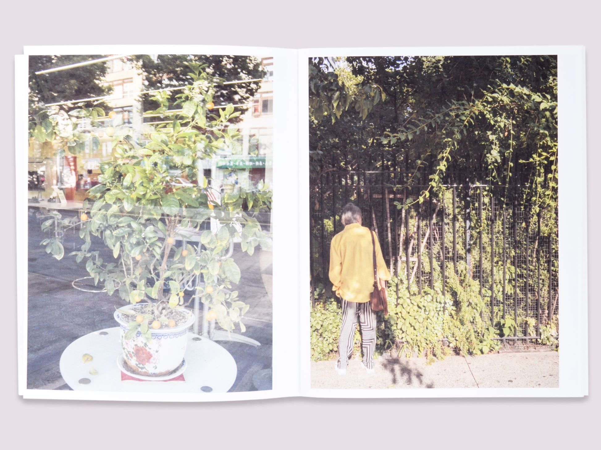 Plantlife NYC/Pierre Le Hors/Denise Schatz published by Miniature Garden