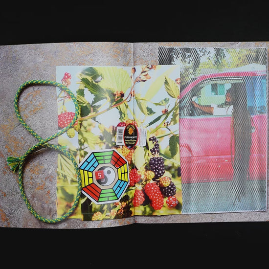 Freaks & Heads/Nicholas Gottlund and Peter Sutherland by Gottlund Verlag