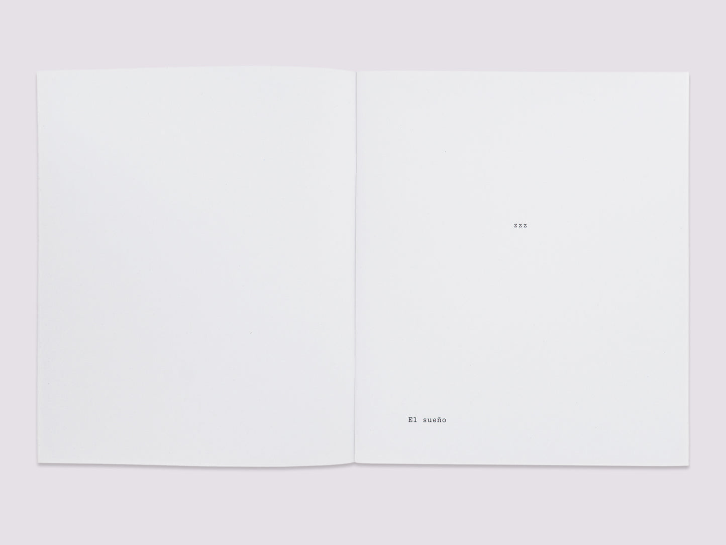 RRR/Ulises Carrión published by Boa Books