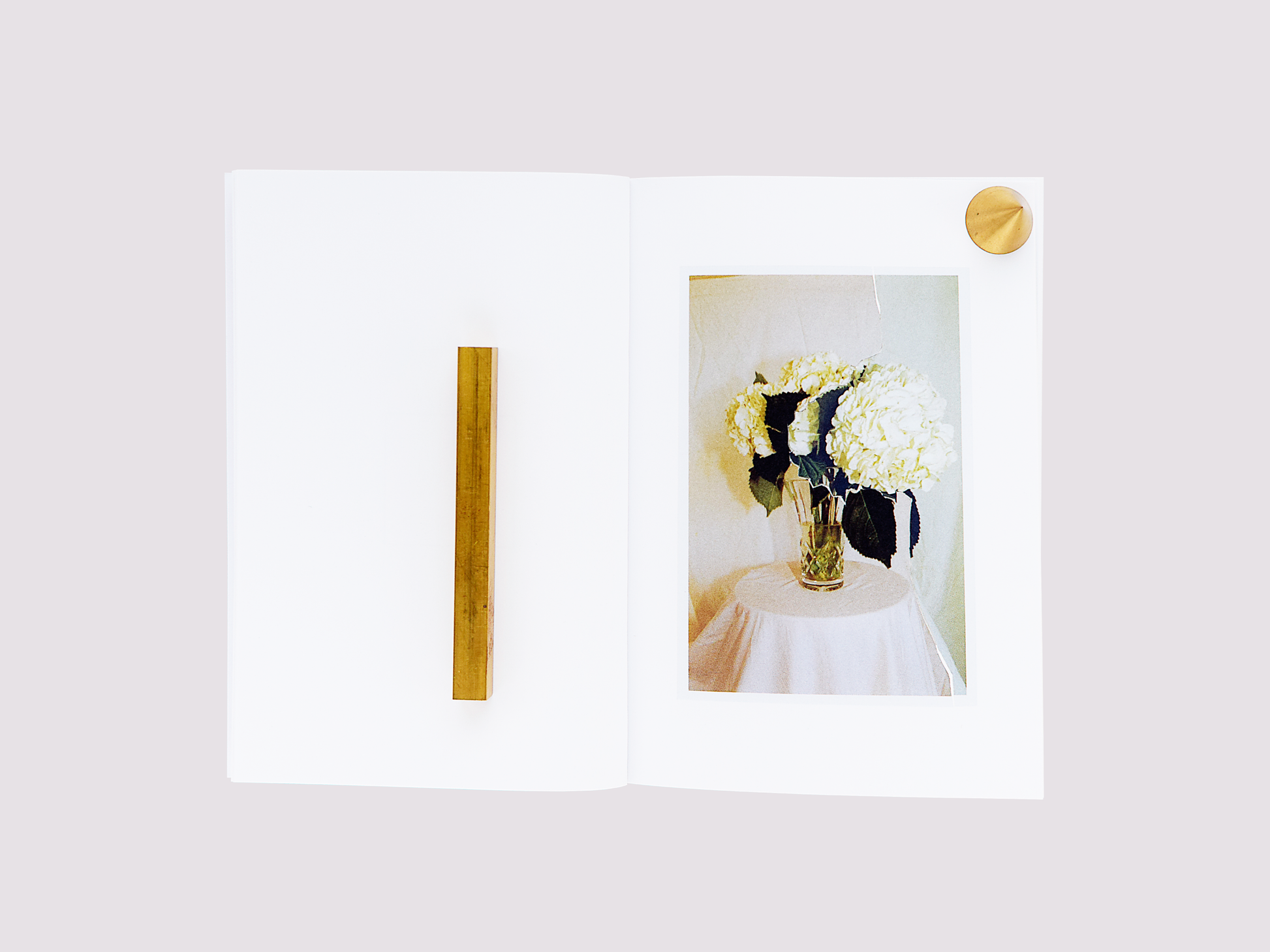 The Rose/Ed Steck/Adam Marnie published by Hassla